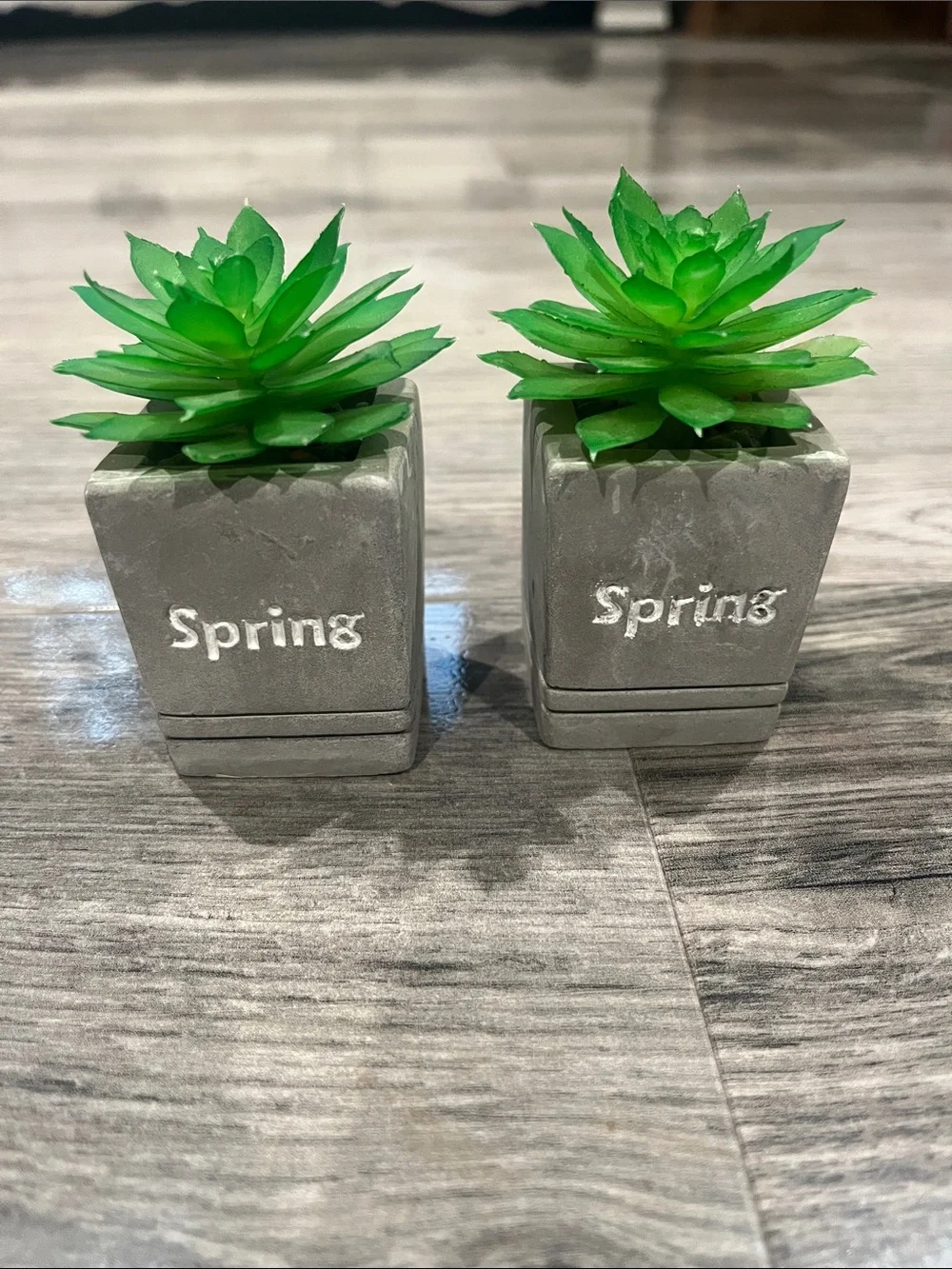 Home and Garden Decor